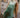 Nereida Dress