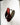 Paloma 70mm Flip Flop-STUDIO AMELIA-Tucci Boutique